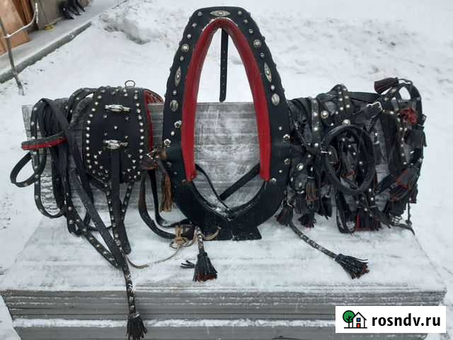Упряжь для лошади Янино-1 - изображение 1