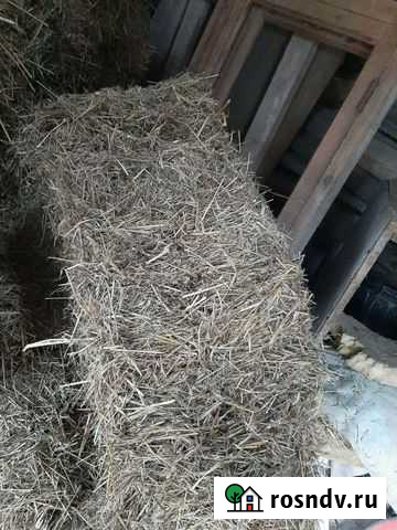 Туки солома Терек - изображение 1
