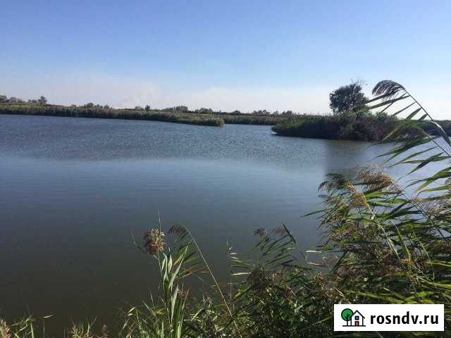 Участок СНТ, ДНП 1180 сот. на продажу в Петровской Петровская - изображение 1