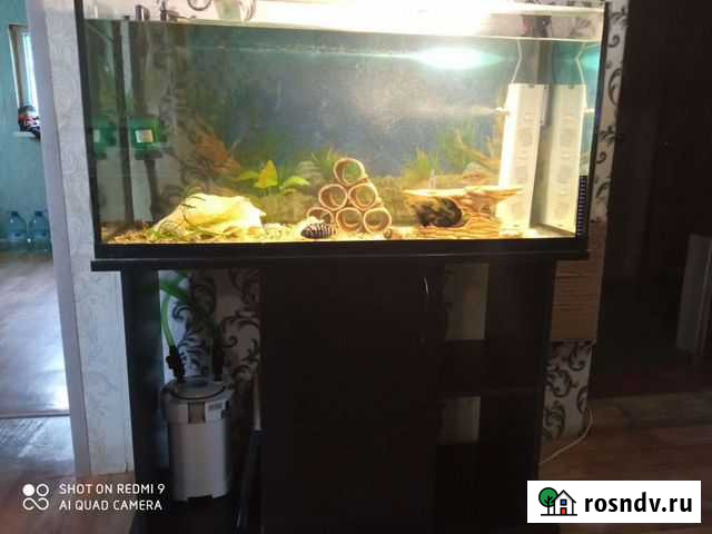 Аквариум с тумбой 200 литров Чита - изображение 1
