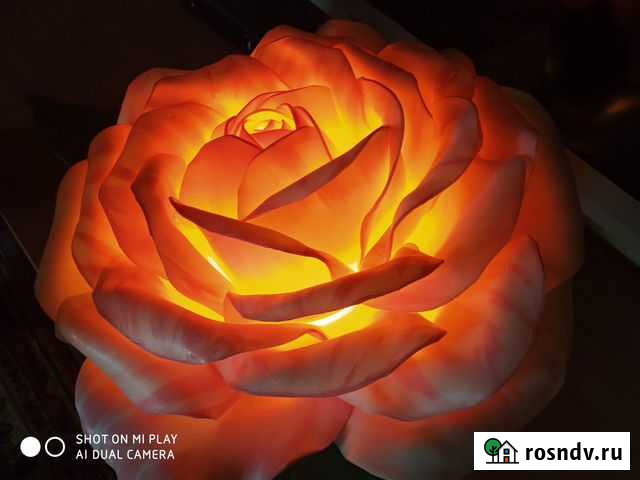 Светильники и ростовые цветы Астрахань - изображение 1