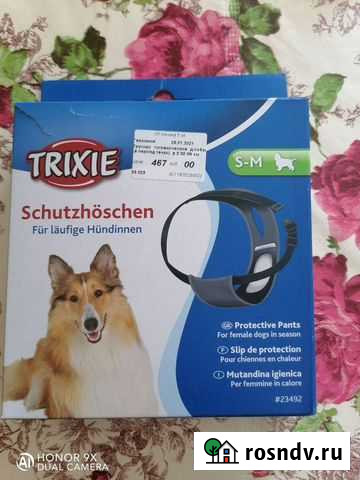 Трусики гигиенические д/собаки в период течки Петропавловск-Камчатский - изображение 1