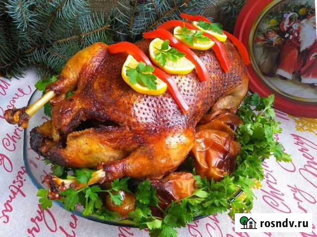 Гуси домашние Николаевская - изображение 1