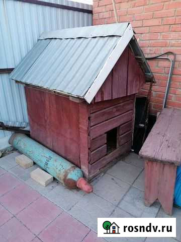 Будка для собаки Бузулук - изображение 1