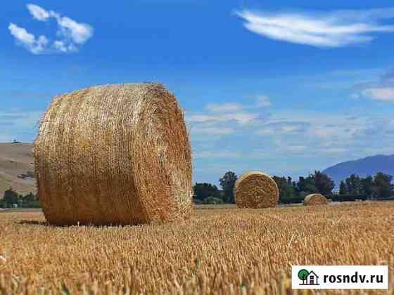 Продам сено в рулонах Измалково