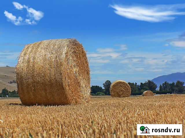 Продам сено в рулонах Измалково - изображение 1