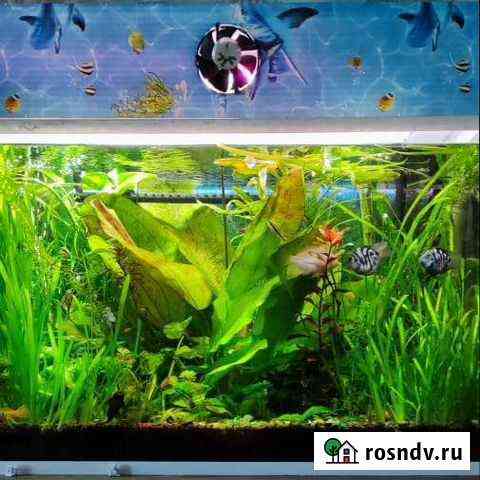 Украшение для аквариума Белогорск