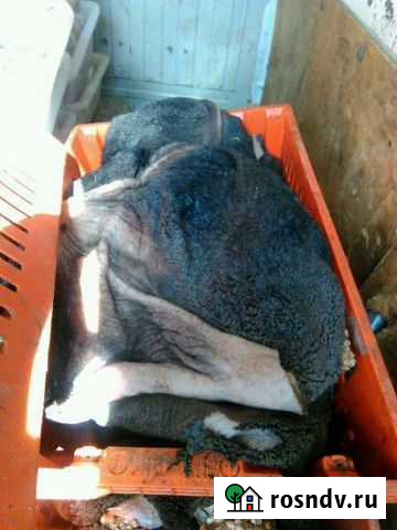 Рубец, Желудок Говяжий Монино - изображение 1