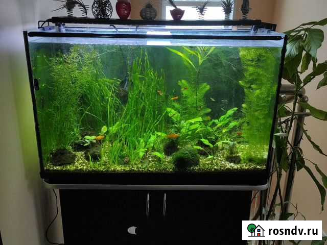 Аквариумы Александров - изображение 1