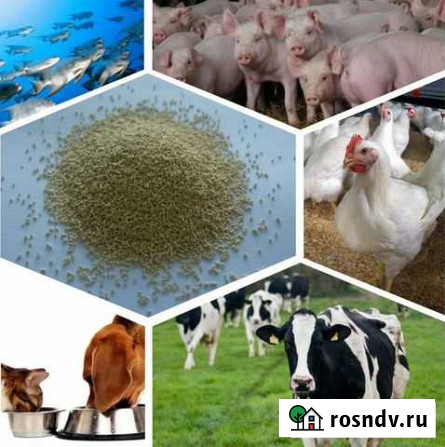 Комбикорм от завода Иваново - изображение 1