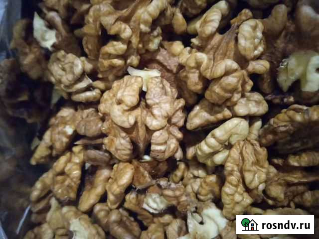 Орех грецкий Армавир - изображение 1