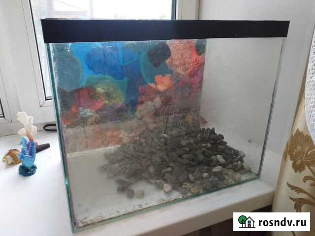 Аквариумы и оборудование Карагайлинский - изображение 1