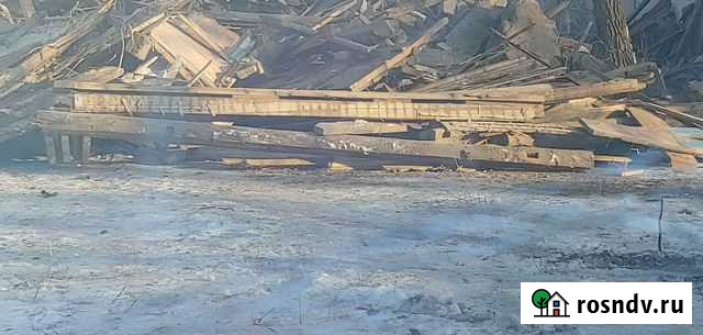 Отдам дрова бесплатно Оренбург - изображение 1