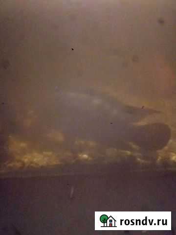 Продам аквариум Чита - изображение 1