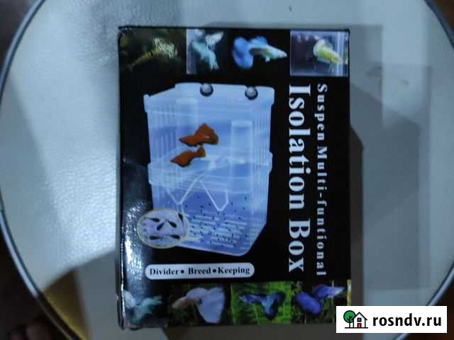 Изоляционный бокс для разведения рыбок Белогорск - изображение 1
