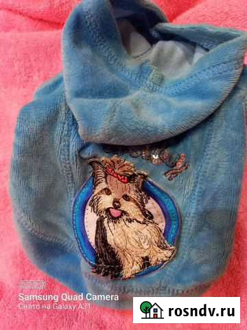 Кофта велюр для собачки размер M Энгельс - изображение 1