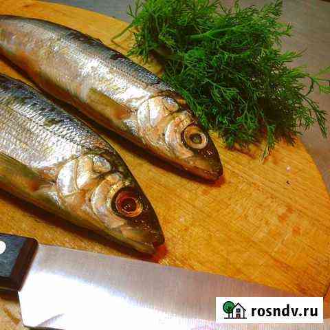 Омуль,Сиг, Хариус,Пелядь Иркутск