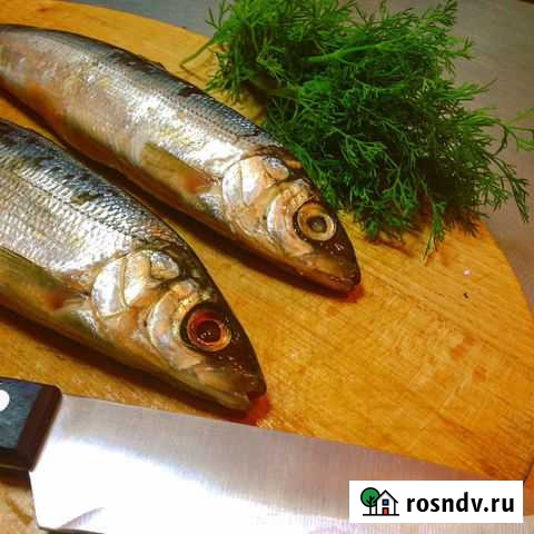 Омуль,Сиг, Хариус,Пелядь Иркутск - изображение 1