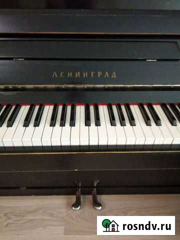 Пианино Ленинград Самара - изображение 1