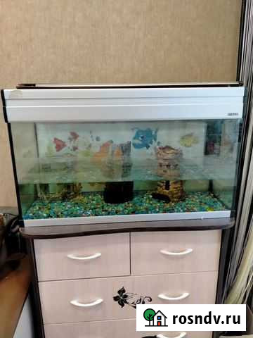 Аквариум Братск - изображение 1