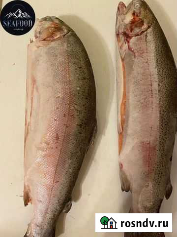 Форель карельская Вербилки - изображение 1