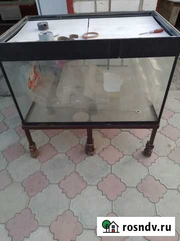 Аквариум Ипатово - изображение 1