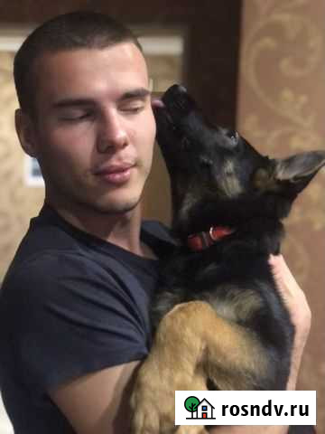 Грумер с выездом на дом Казань - изображение 1