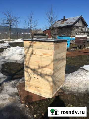 Ульи Муром - изображение 1