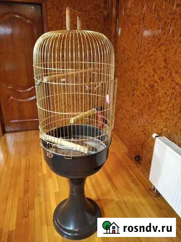Клетка для попугая /Италия Фрязино - изображение 1
