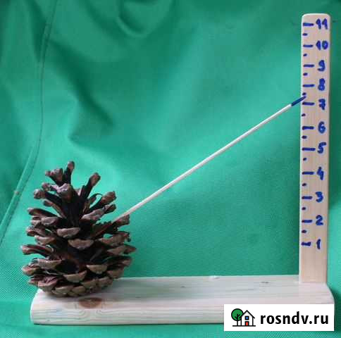 Гигрометр природный Симферополь - изображение 1