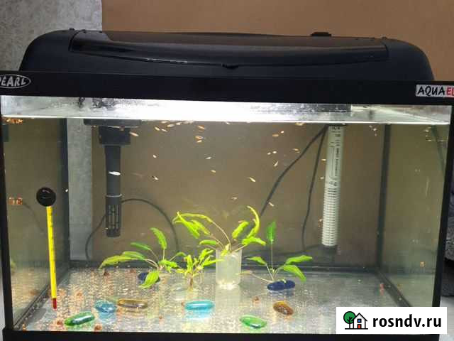 Аквариум 40л Кострома - изображение 1