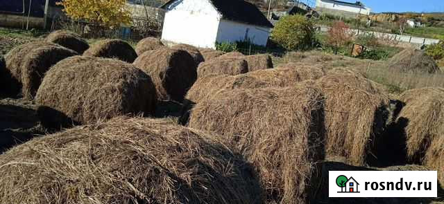 Сено Заюково - изображение 1