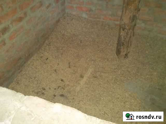 Ячмень Городовиковск - изображение 1