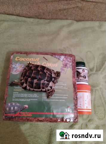 Черепаха Москва - изображение 1