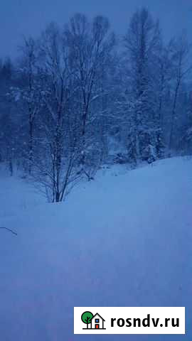 Дрова Горно-Алтайск - изображение 1