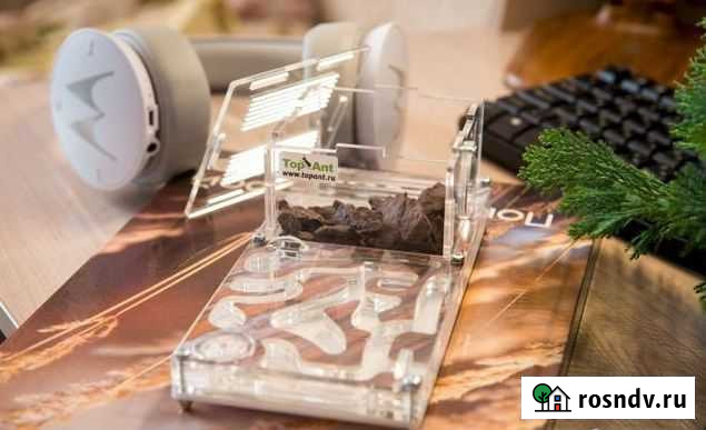 Формикарий малый Курск - изображение 1