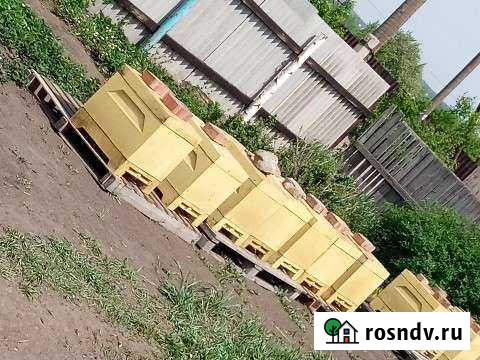 Улья ппу Нововаршавка - изображение 1