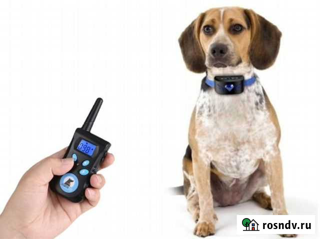 Электроошейник для собаки, антилай Смоленск - изображение 1