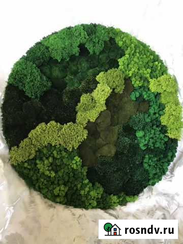 Фитокартина из стабилизированных мхов 100см Белгород - изображение 1