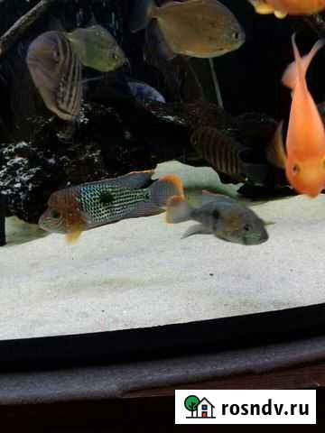 Кварцевый песок Бузулук - изображение 1