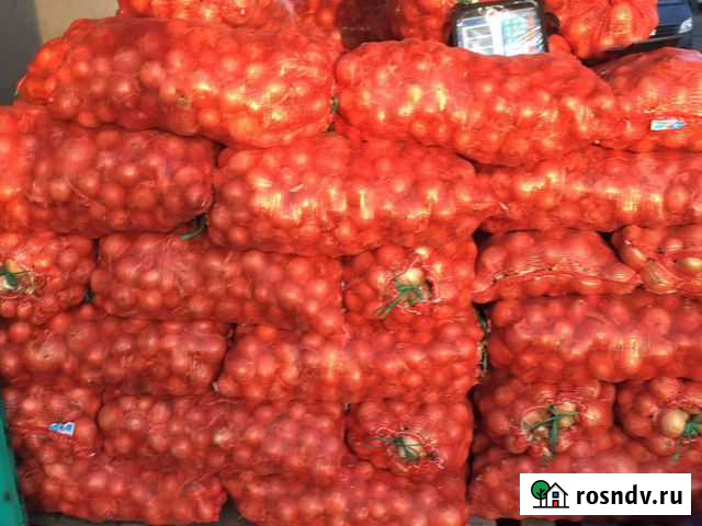 Лук репчатый продажа Набережные Челны - изображение 1