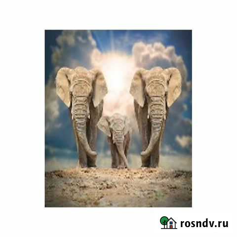 Штора для ванной Фотопринт 180*180 Слоны 461390 бе Курск - изображение 1