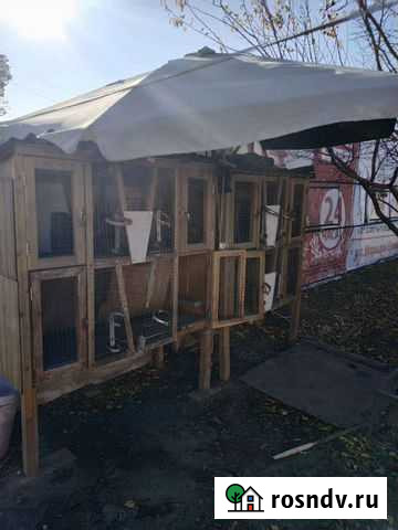 Клетка для кроликов Волжский - изображение 1