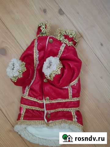 Одежда для собак Магадан - изображение 1