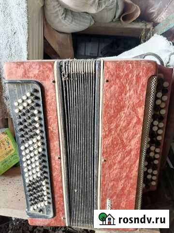 Баян Казань - изображение 1