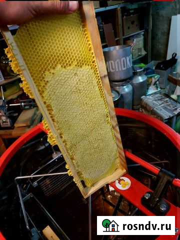 Мёд Щекино - изображение 1