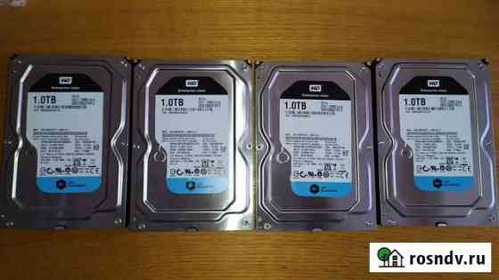 Жесткие диски WD 1TB Казань
