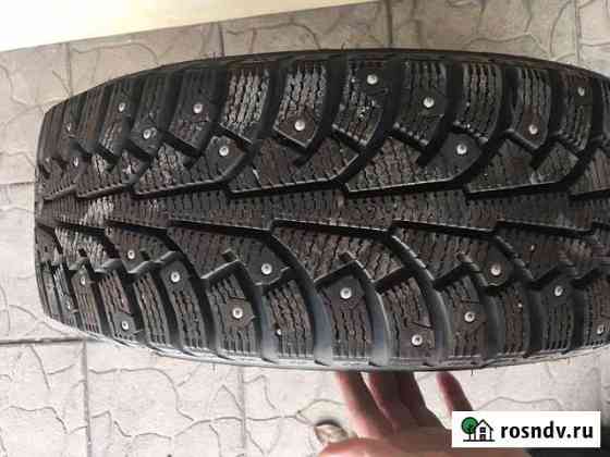 Воронеж 205/55 R16 Россошь