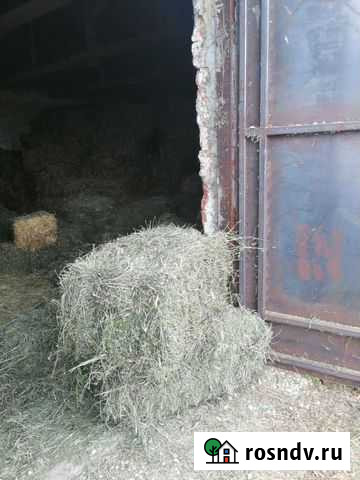 Сено в тюках Елец - изображение 1