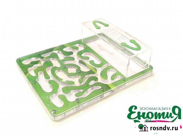 Муравьиная ферма с муравьями Красноярск - изображение 1